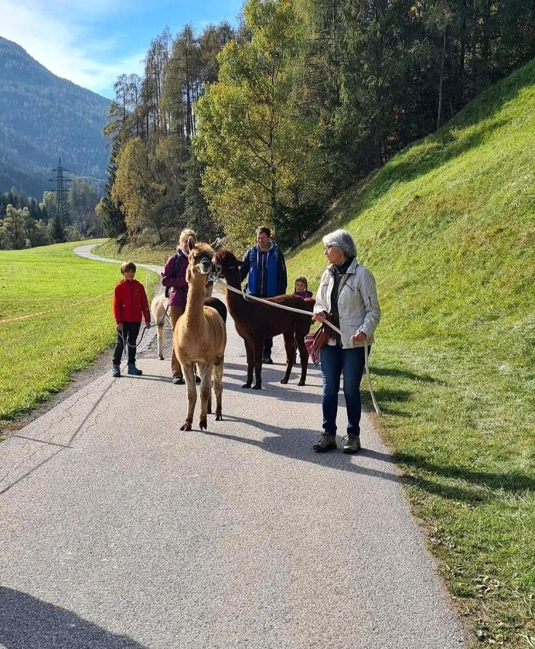 Apart- Gletscherglück * Telfes im Stubai